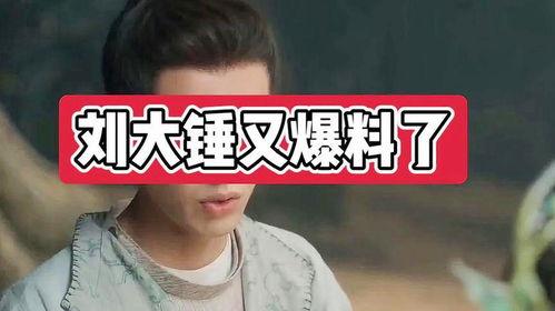 刘大锤明天爆料视频全集,揭秘视频全集幕后真相