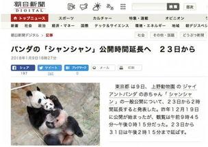 熊猫天天最新新闻爆料,最新热点事件内幕曝光